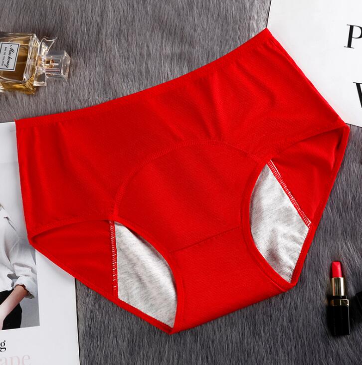 Hygiene Breathable Mesh Period Panties - 2 desire