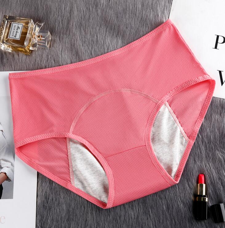 Hygiene Breathable Mesh Period Panties - 2 desire