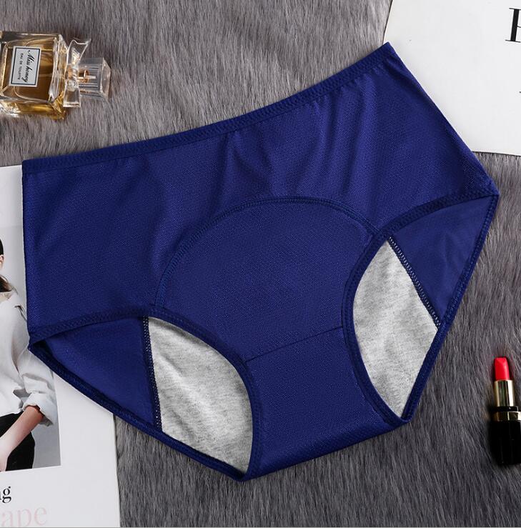 Hygiene Breathable Mesh Period Panties - 2 desire