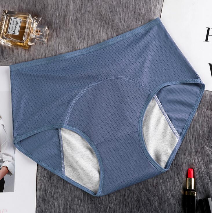 Hygiene Breathable Mesh Period Panties - 2 desire
