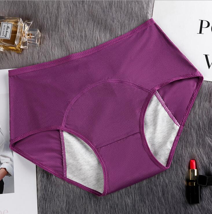 Hygiene Breathable Mesh Period Panties - 2 desire