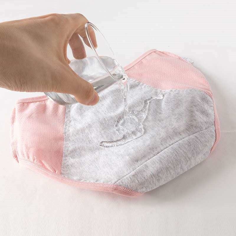 Hygiene Breathable Mesh Period Panties - 2 desire