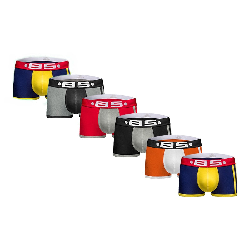 Men's Sexy Panties 6 Pieces - 2 desire
