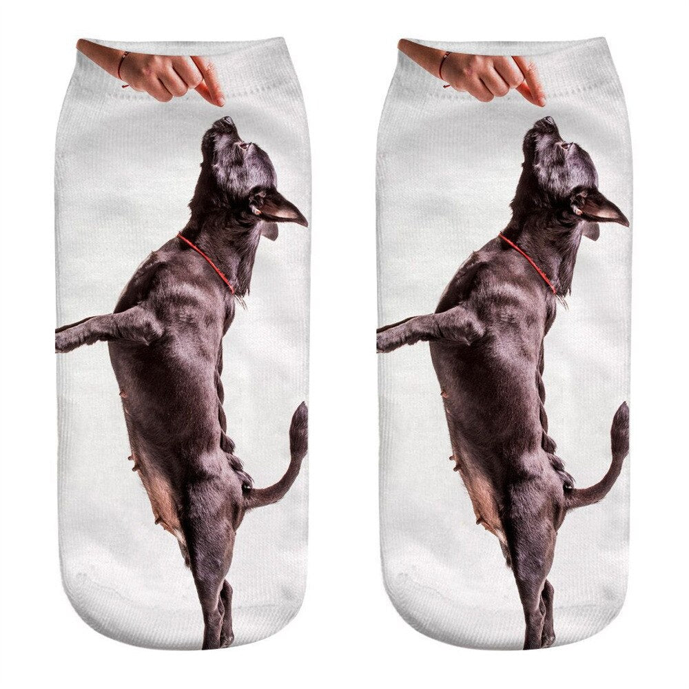 Women's Cute Aimal 3D Print Socks - 2 desire