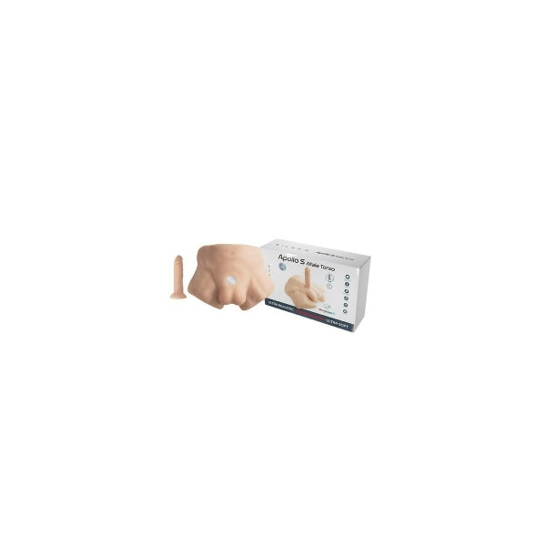 Realistic Dildo Torso  17cm